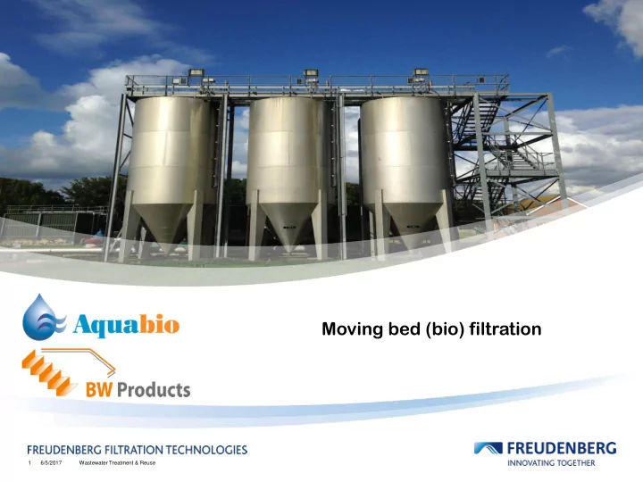 moving bed bio filtration
