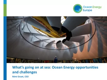 Rmi Gruet, CEO  Ocean Energy Europe  120 members - Lead Partners:  @euoea