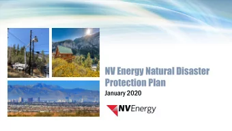 NV Energy Natural Disaster  Protection Plan  January 2020  Company Overview    NV Energy has
