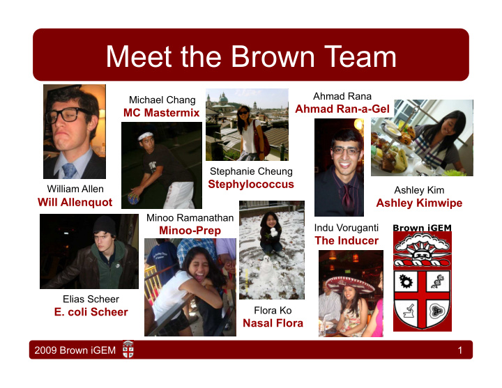meet the brown team