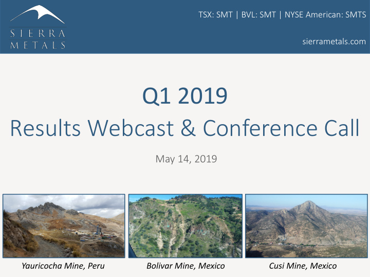 q1 2019 results webcast conference call