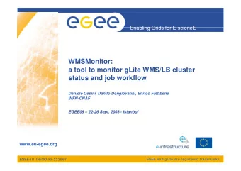 WMSMonitor:  a tool to monitor gLite WMS/LB cluster  status and job workflow  Daniele Cesini,