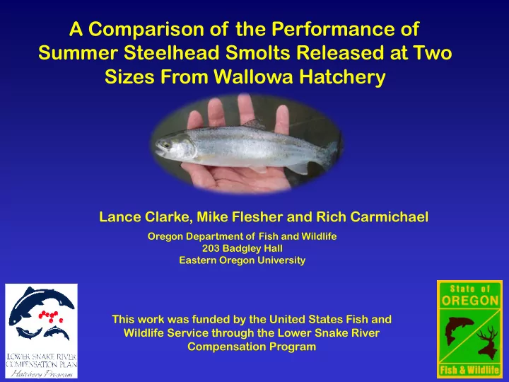 a comparison of the performance of summer steelhead
