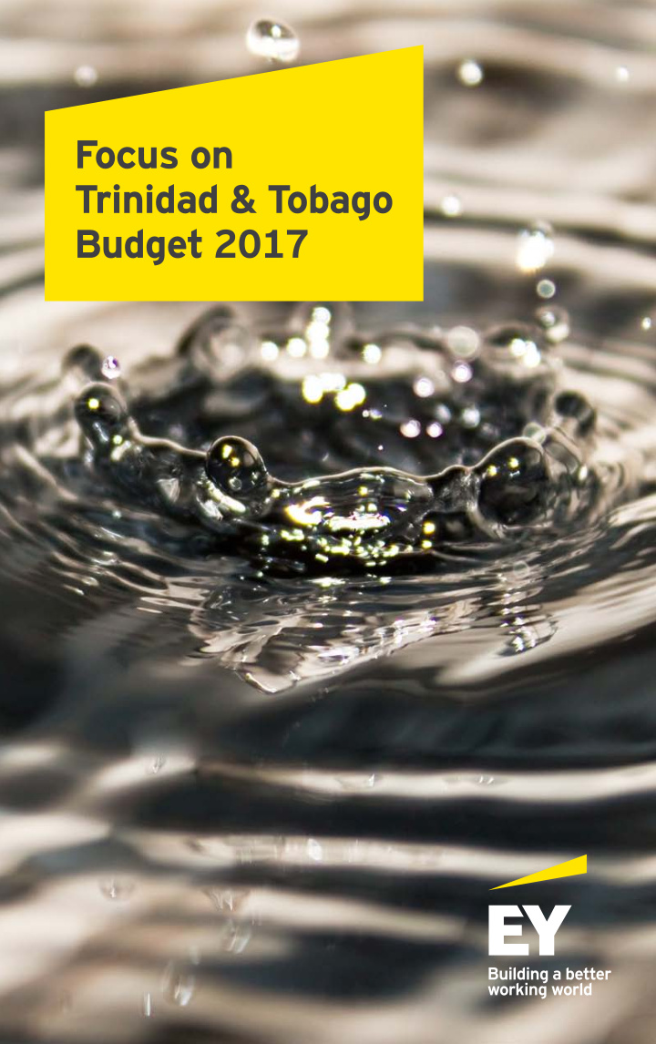 trinidad tobago budget 2017 caveat