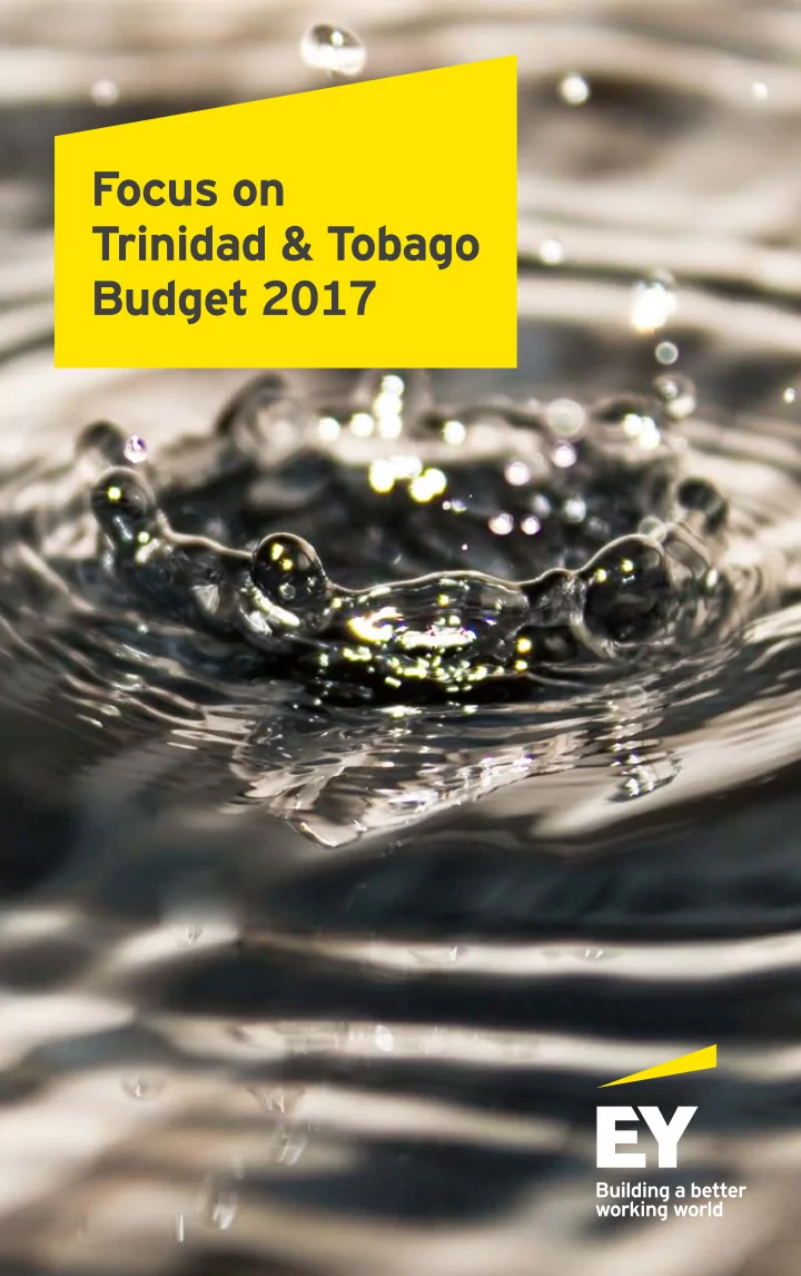 trinidad tobago budget 2017 caveat