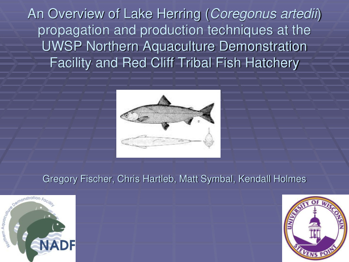 an overview of lake herring coregonus artedii