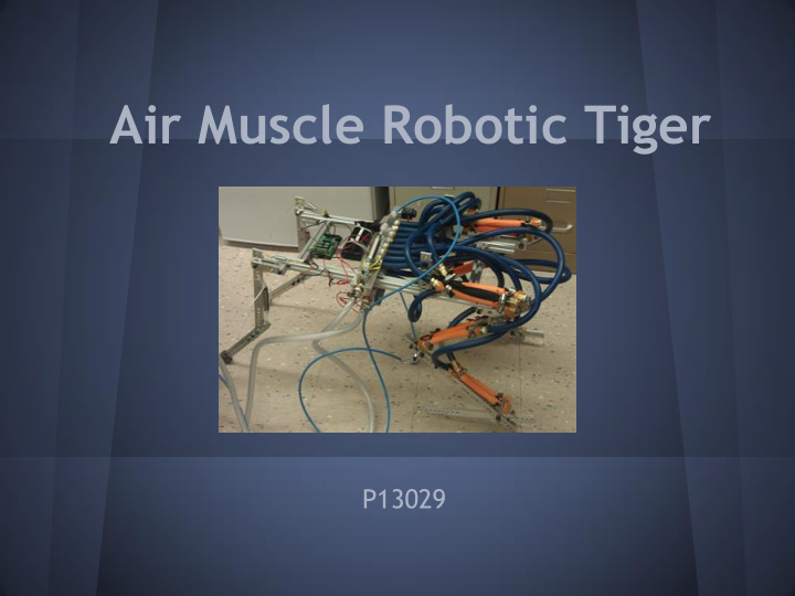 air muscle robotic tiger