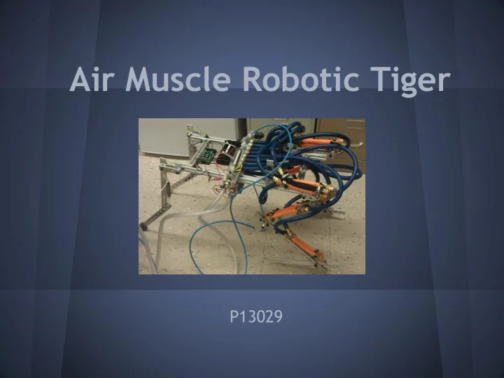 air muscle robotic tiger