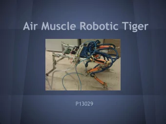 Air Muscle Robotic Tiger  P13029  Presentation Agenda  Specs and Customer Needs  Concept