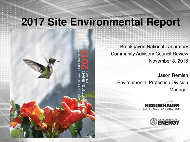 2017 site environmental report