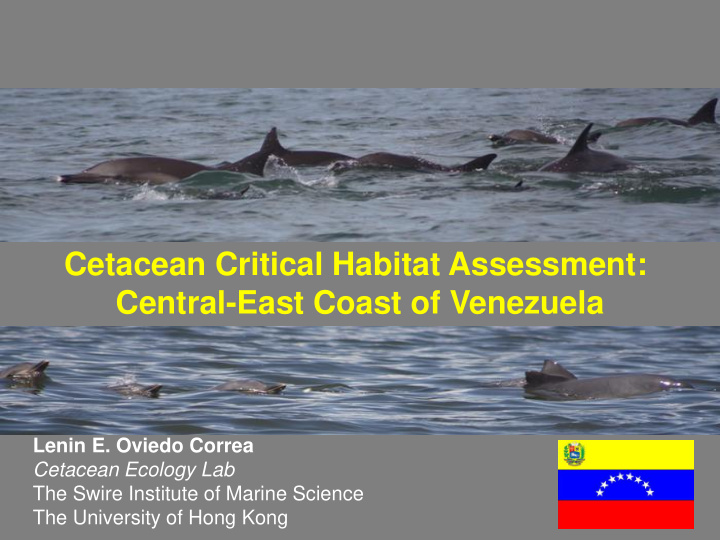 cetacean critical habitat assessment central east coast