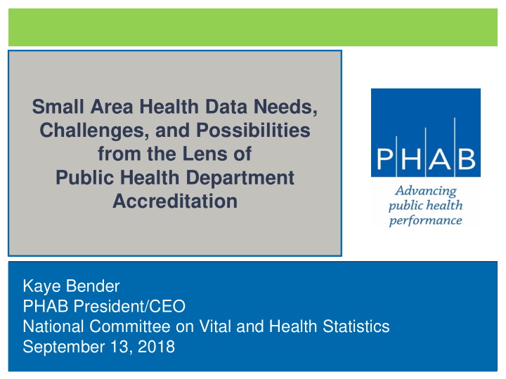small area health data needs challenges and possibilities
