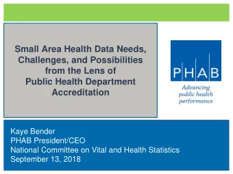 Small Area Health Data Needs,  Challenges, and Possibilities  from the Lens of  Public Health