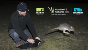 JerraCam  Lathams Snipe  Twilight Tours  Sanctuary  Expansion  Further information