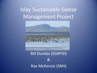 Management Project  Bill Dundas (SGRPID)  &amp;  Rae McKenzie (SNH)  Background  Historical goose