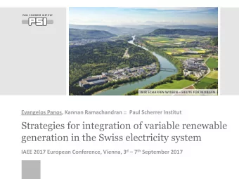 generation in the Swiss electricity system IAEE 2017 European Conference, Vienna, 3 d  7 th