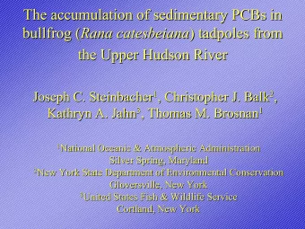 The accumulation of sedimentary PCBs in  The accumulation of sedimentary PCBs in bullfrog ( Rana