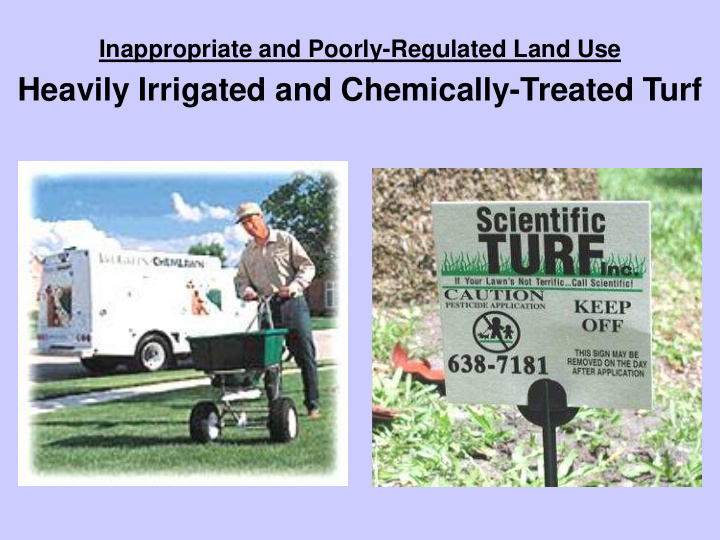 heavily irrigated and chemically treated turf