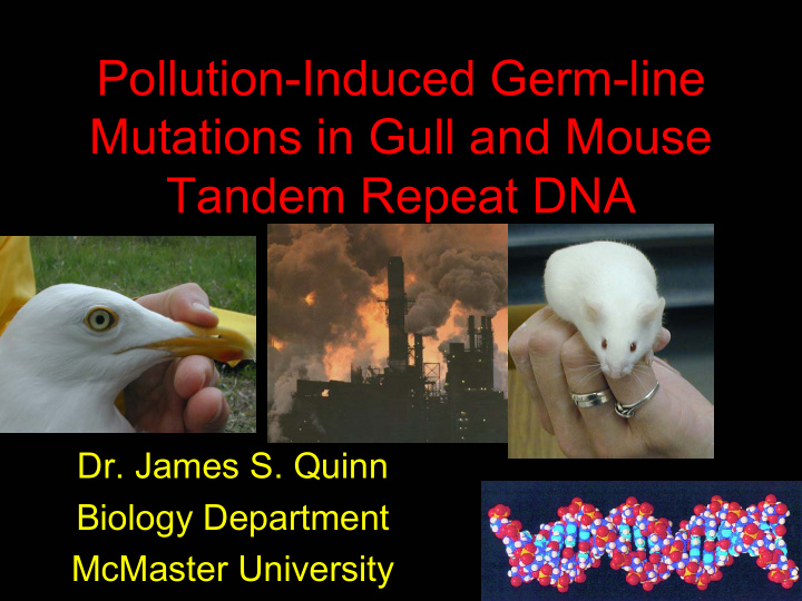 pollution induced germ line mutations in gull and mouse