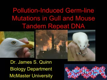 Pollution-Induced Germ-line  Mutations in Gull and Mouse  Tandem Repeat DNA  Dr. James S. Quinn