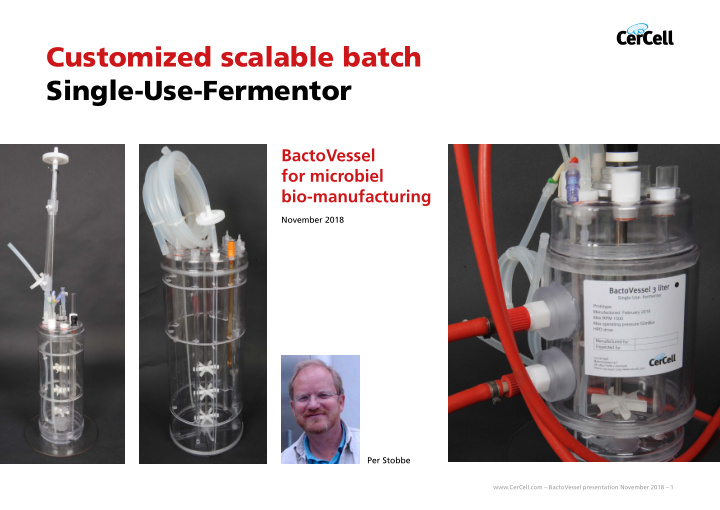customized scalable batch single use fermentor