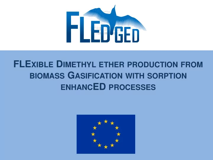 pre treatments gasification biomass syngas