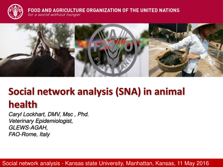 social network analysis sna in animal health