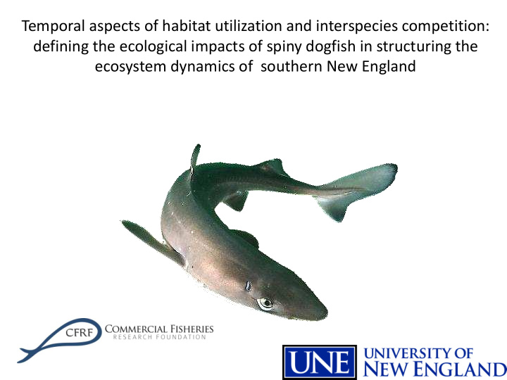 defining the ecological impacts of spiny dogfish in