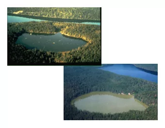 What Does Algae Have To Do With  It?   The photosynthetic cyanobacteria, A.K.A.  blue-green