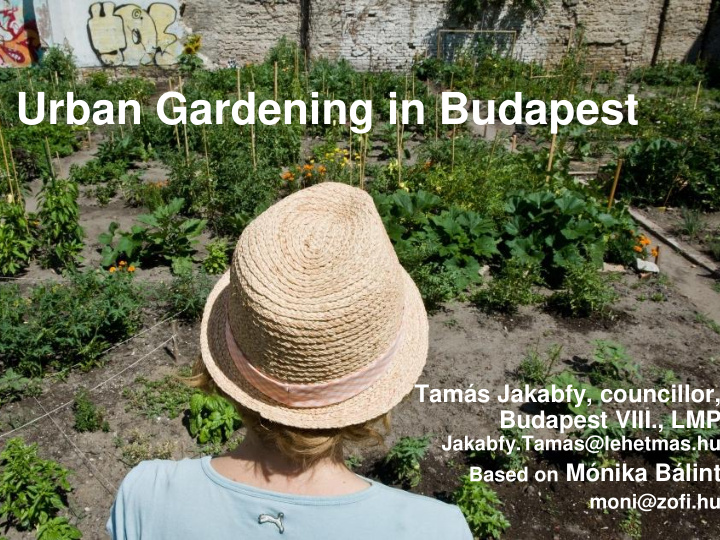 urban gardening in budapest