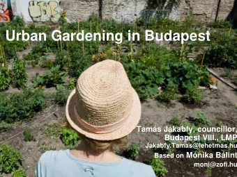 Urban Gardening in Budapest  Tams Jakabfy, councillor,  Budapest VIII., LMP