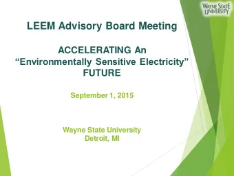 LEEM Advisory Board Meeting  ACCELERATING An  Environmentally Sensitive Electricity  FUTURE