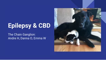 Epilepsy &amp; CBD  The Chain Ganglion:  Andre H, Danna O, Emma W  Meet Bubba!  Bubba is a 7 year