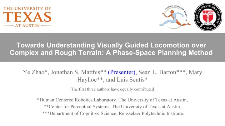 towards understanding visually guided locomotion over