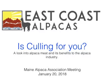 Is Culling for you?   A look into alpaca meat and its benefits to the alpaca industry.  Maine
