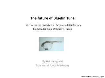 The future of Bluefin Tuna  Introducing the closed cycle, farm raised Bluefin tuna  From Kindai
