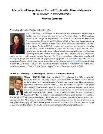 International Symposium on Thermal Effects in Gas flows in Microscale  ISTEGIM 2019 - A MIGRATE