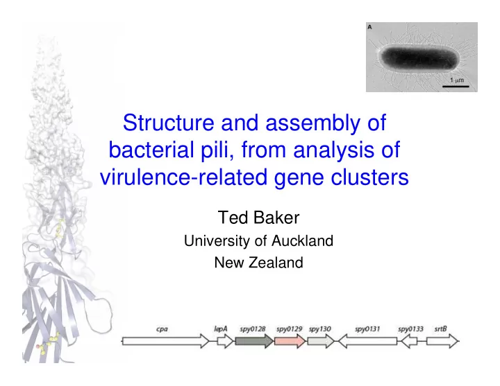 structure and assembly of bacterial pili from analysis of