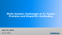 proteins and bispecific antibodies