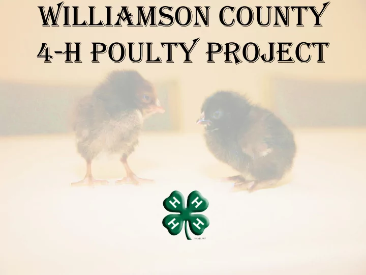 williamson county