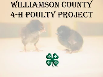 WILLIAMSON COUNTY  4-h POULTY PROJECT  GROWING BLUE RIBBON PULLETS  Maddy Hill  &amp;  Cole Giles