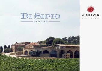 Our story  Di Sipio was founded eighteen years ago by Nicola di Sipio, he was a  young man when he