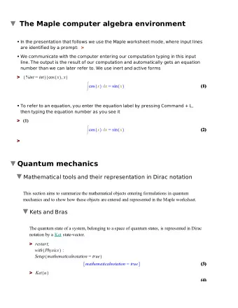 The Maple computer algebra environment      In the presentation that follows we use the Maple