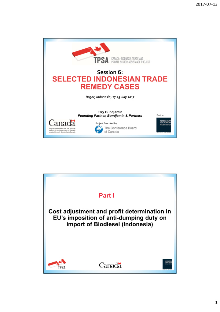 selected indonesian trade remedy cases