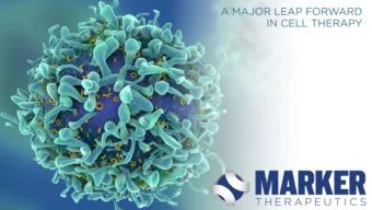 1  2  3  4  5  6  7  8  9  10  11  12  13  14  15  16  17  18  19  20  21  22  23  24  25  26  27