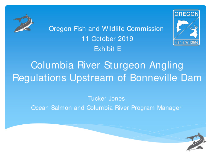 columbia river sturgeon angling regulations upstream of