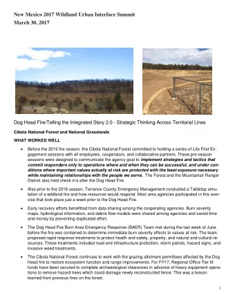 Dog Head Fire/Telling the Integrated Story 2.0 - Strategic Thinking Across Territorial Lines