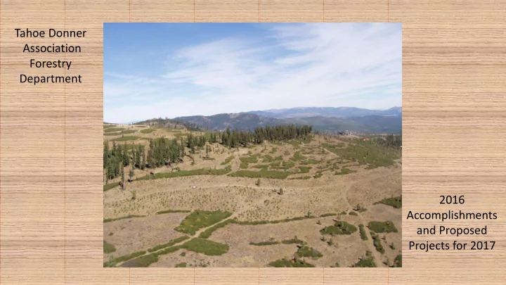 forestry