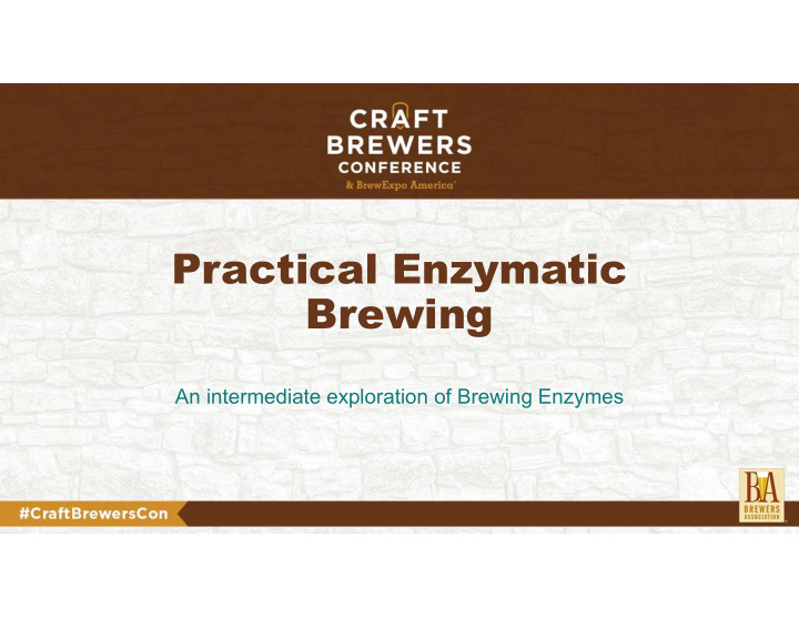 practical enzymatic brewing
