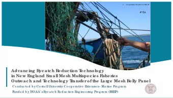 Advanc ing Byc atc h R  educ tion T  ec hnology  in New E  ngland Small Mesh Multispec ies F  isher